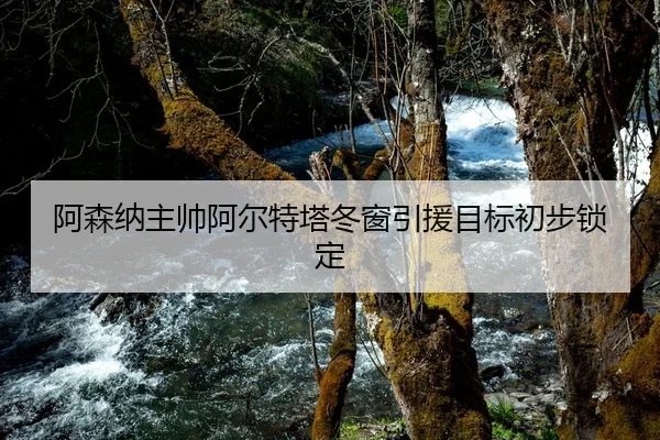阿森纳主帅阿尔特塔冬窗引援目标初步锁定